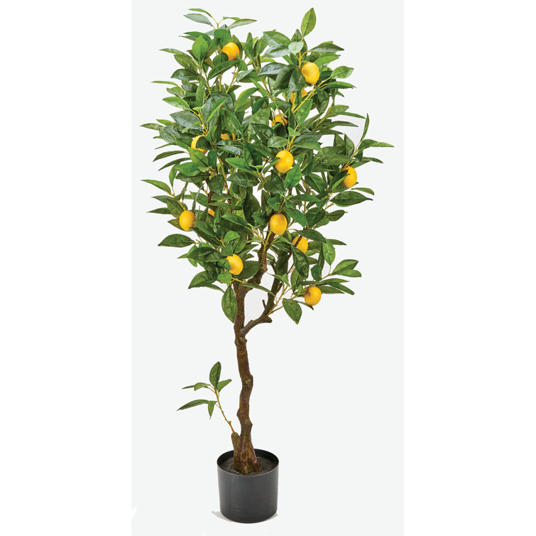 Primrue 48'' Faux Lemon Tree in Pot Wayfair